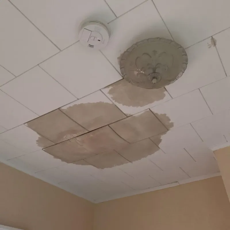 Ceiling Water Damage Repair in Tiffin, OH