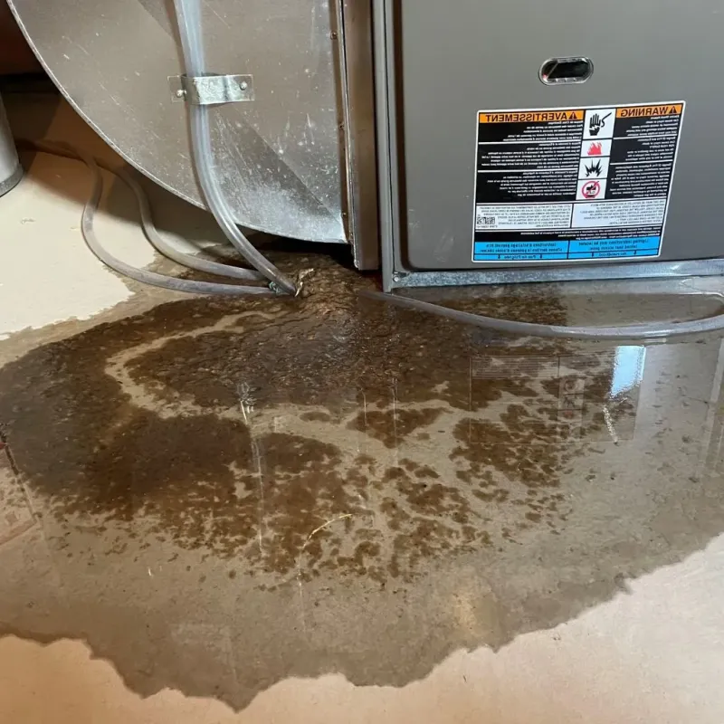 Pipe Burst and Leak Restoration in Tiffin, OH